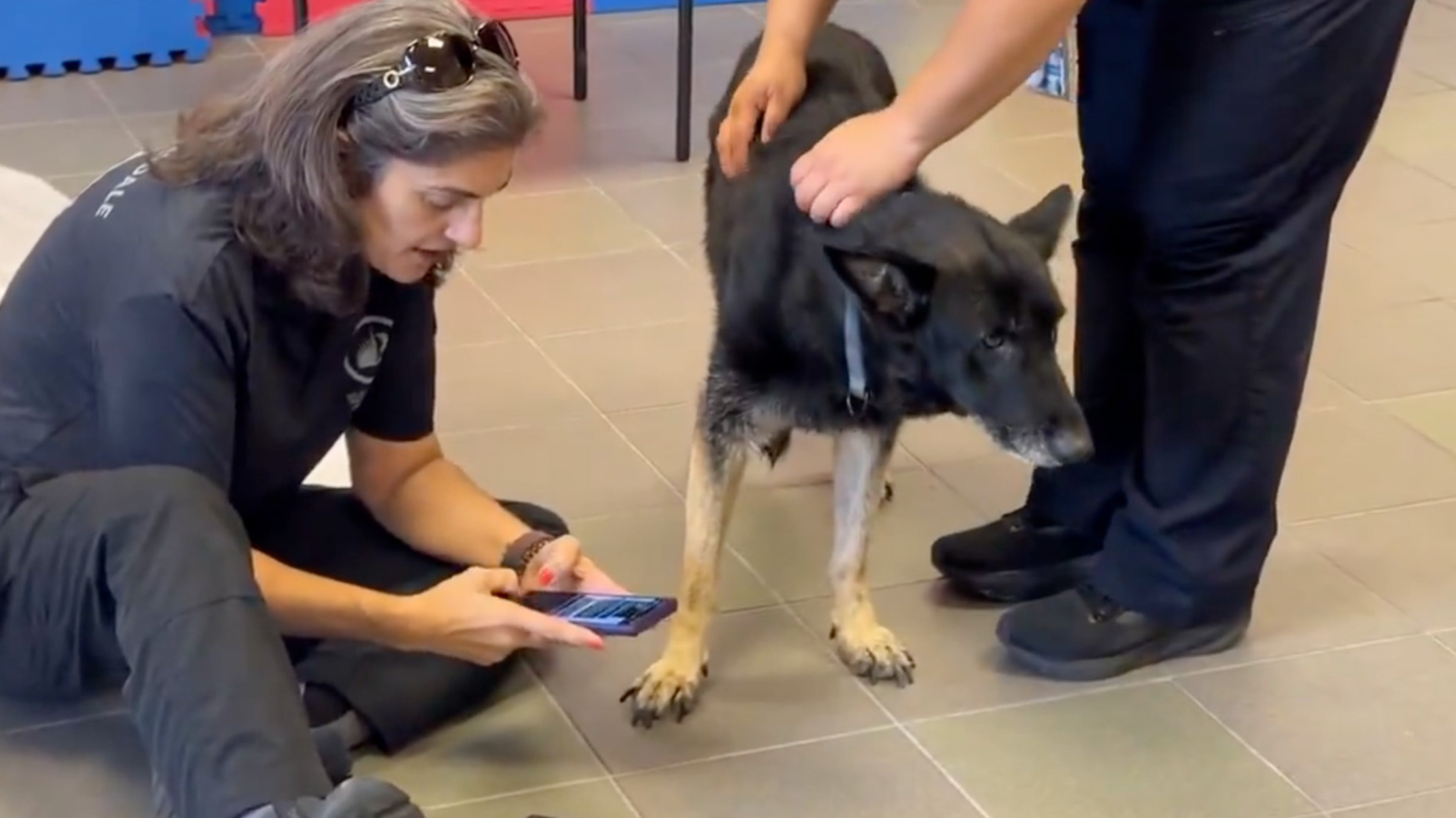 a rescued dog with firefighters
