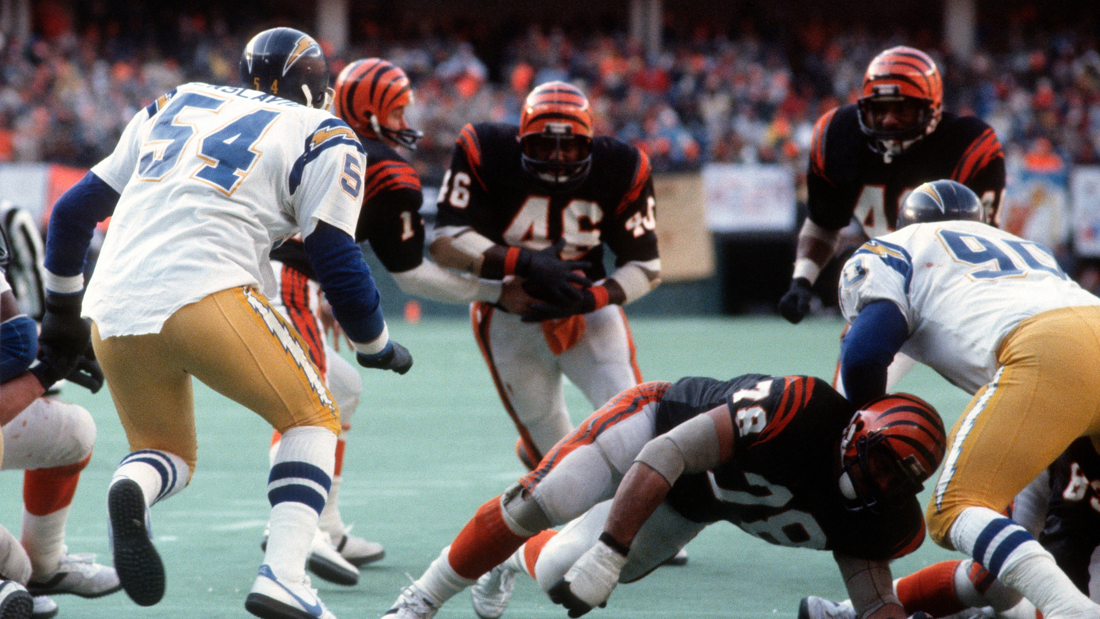 bengals.jpg