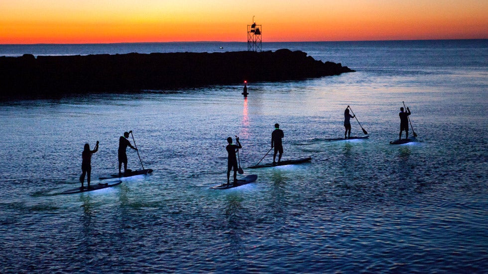 Stunning Silhouettes of Paddle Boarders at Night (PHOTOS)  