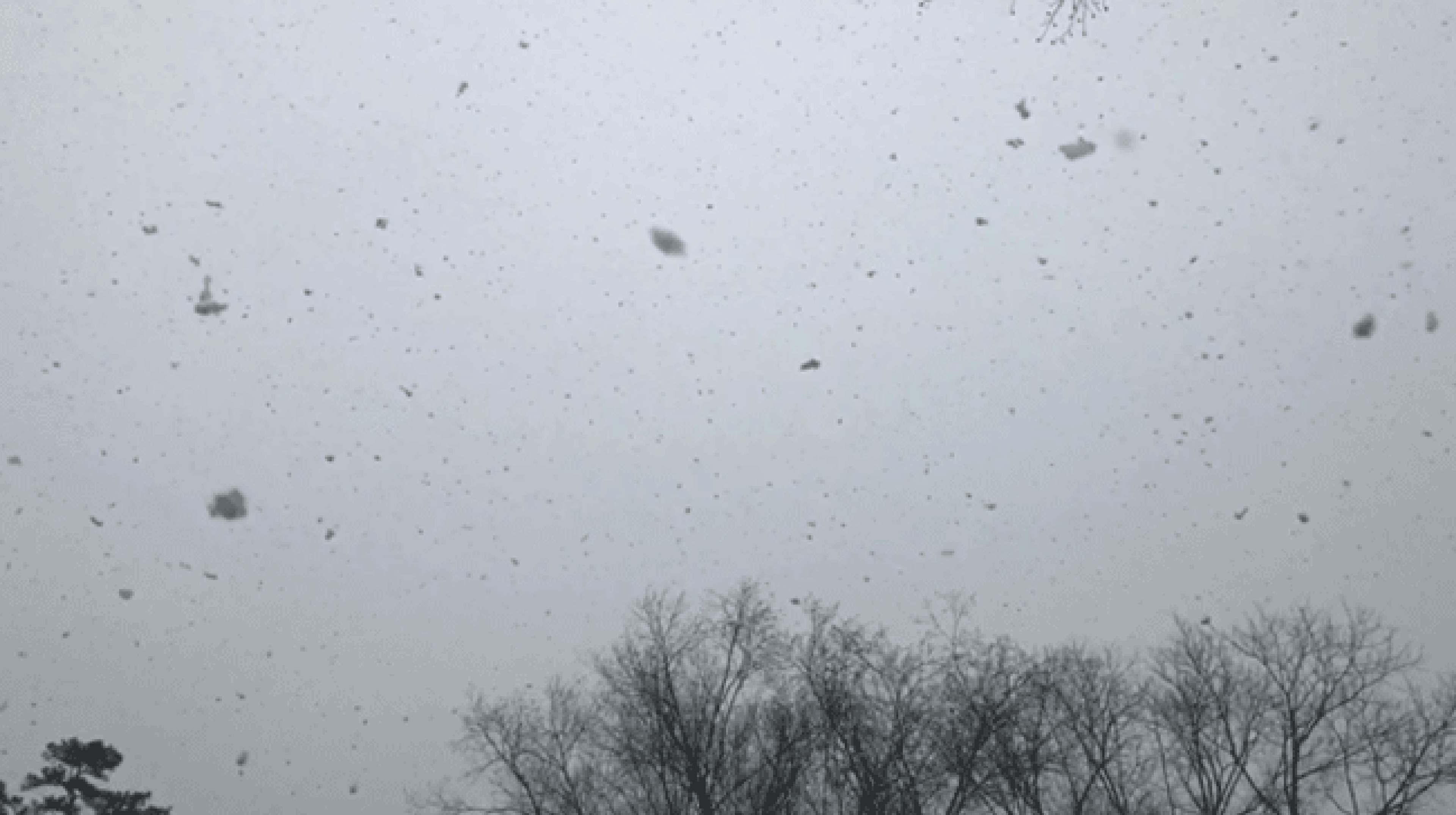 Example of large snowflakes falling.