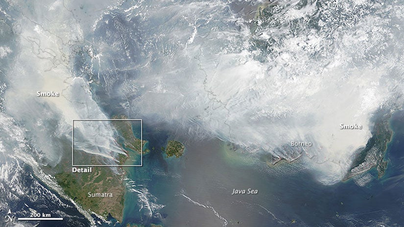 Fires Raging Out of Control in Indonesia, Blanketing Islands in Smoke