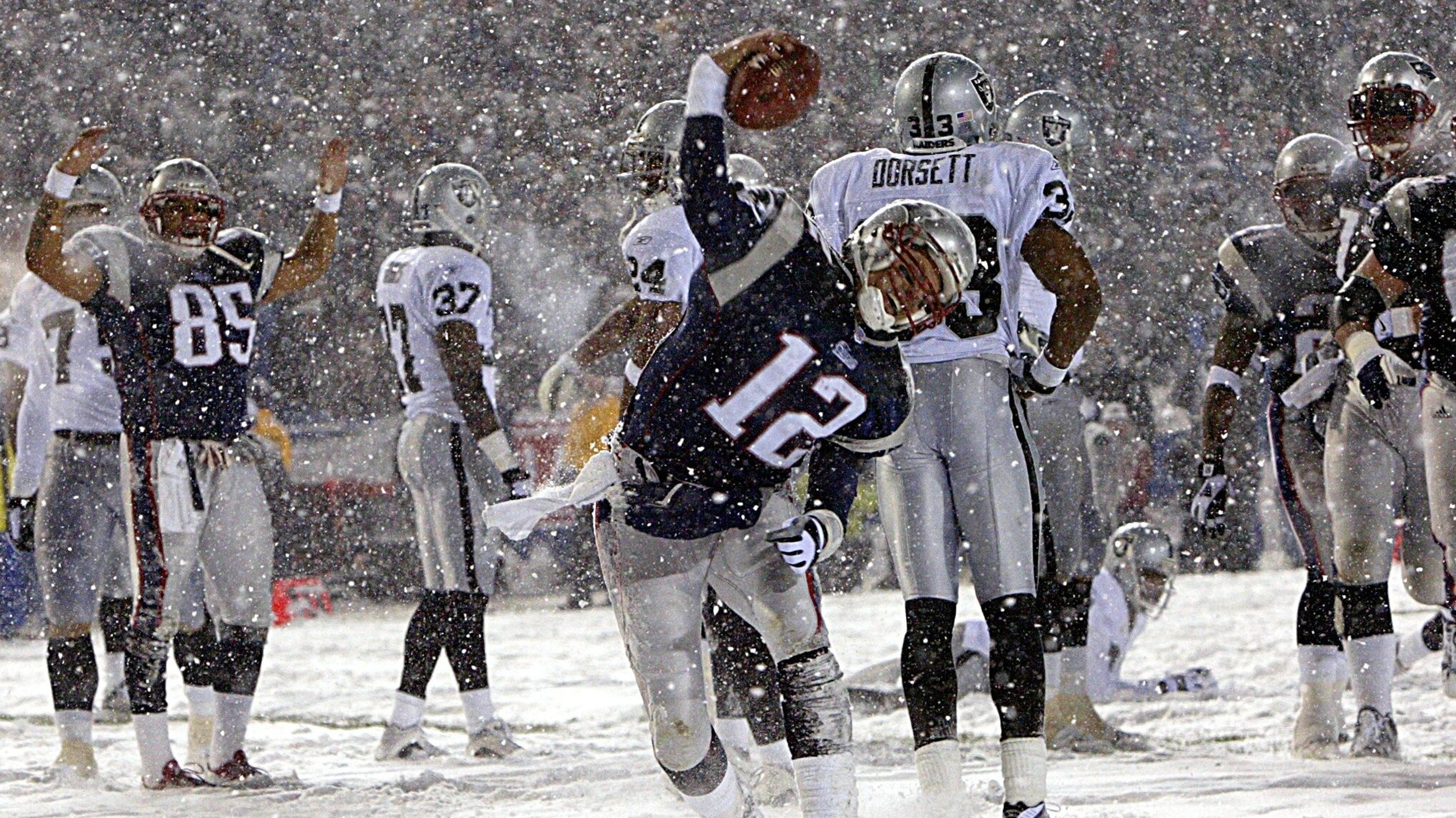 bradyspike.jpg