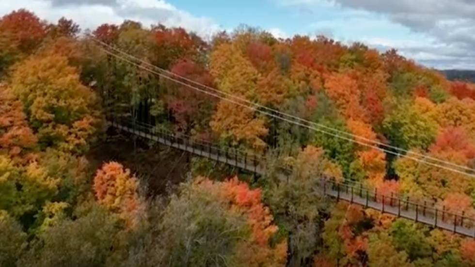 New Suspension Bridge In Michigan Is Longest Of Its Kind 