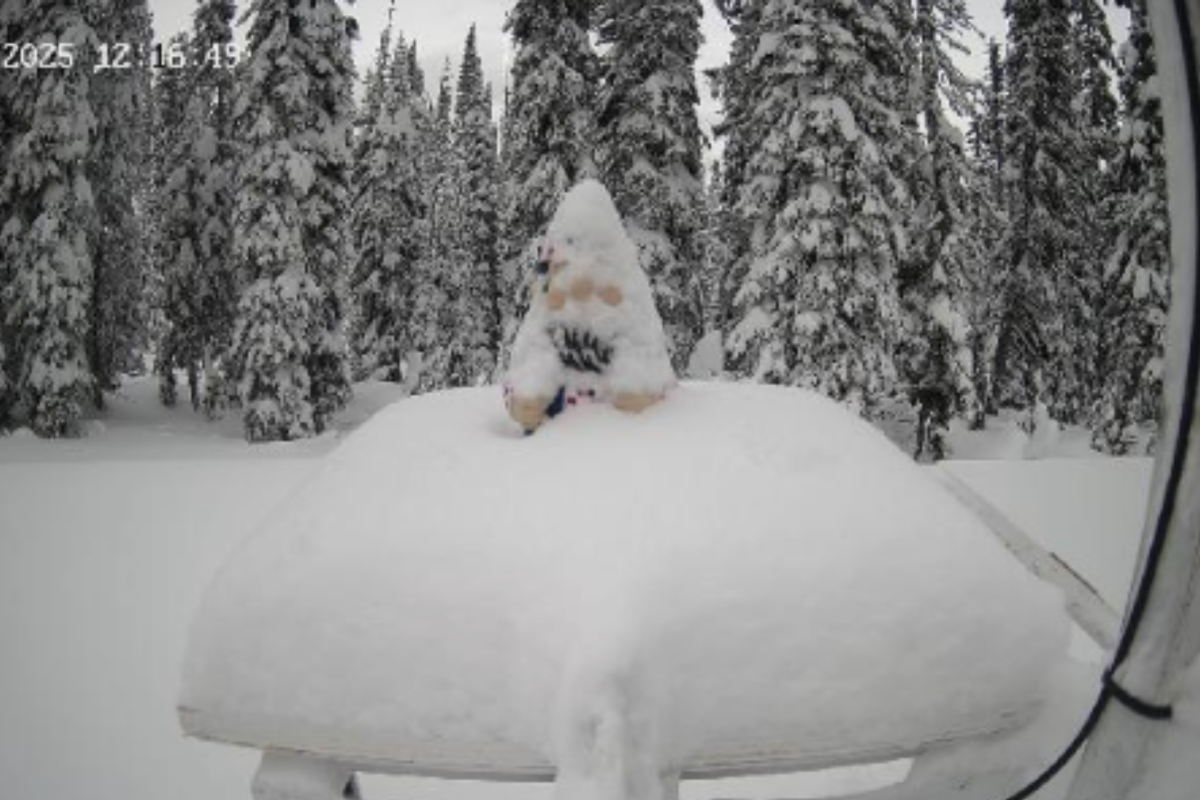 British Columbia Ski Resorts Are Buried, Here's How Much Snow Has Fallen