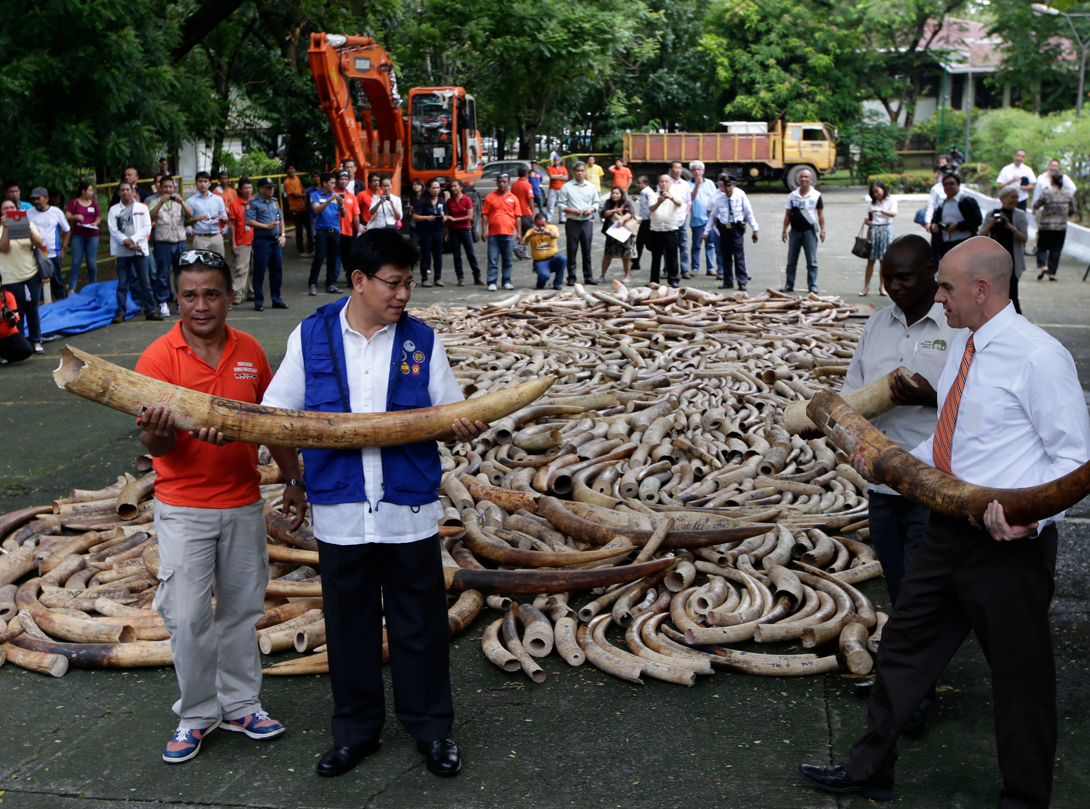 China Says It Will Shut Down Its Ivory Trade to Protect African ...