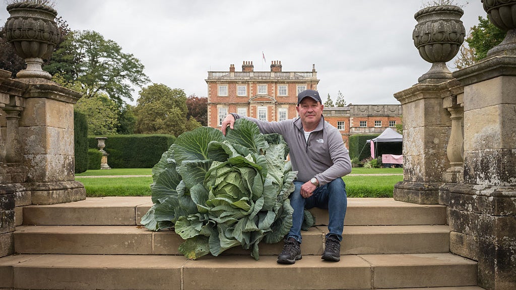 Garden Giants: Massive Vegetables Tip The Scales At Prestigious UK Flower Show