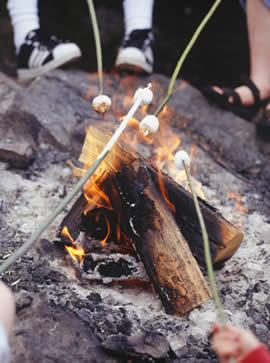 Flame On! Creative Campfire Cooking Ideas