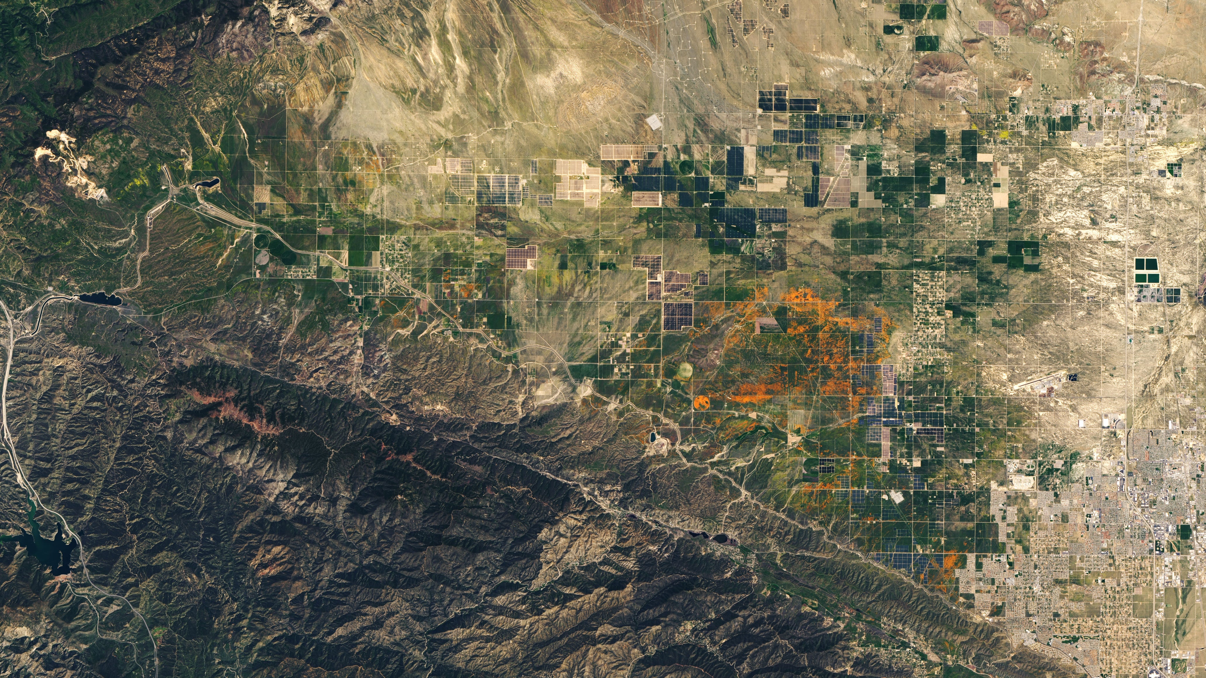 California's Poppy Bloom is Photographed from Space