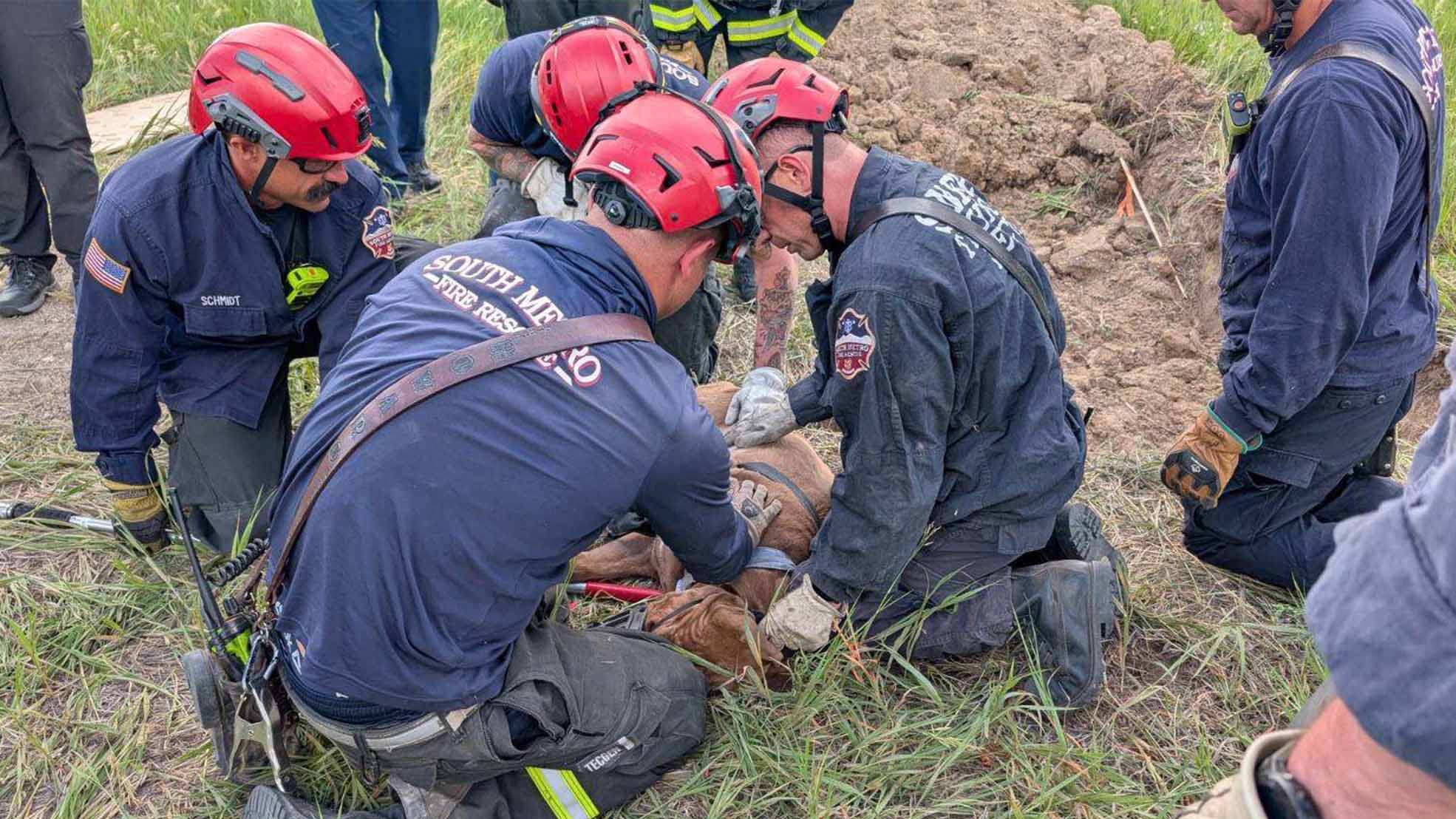 first responders rescue a dog named Carl