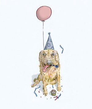 5 Things You Can Learn From Your Pet