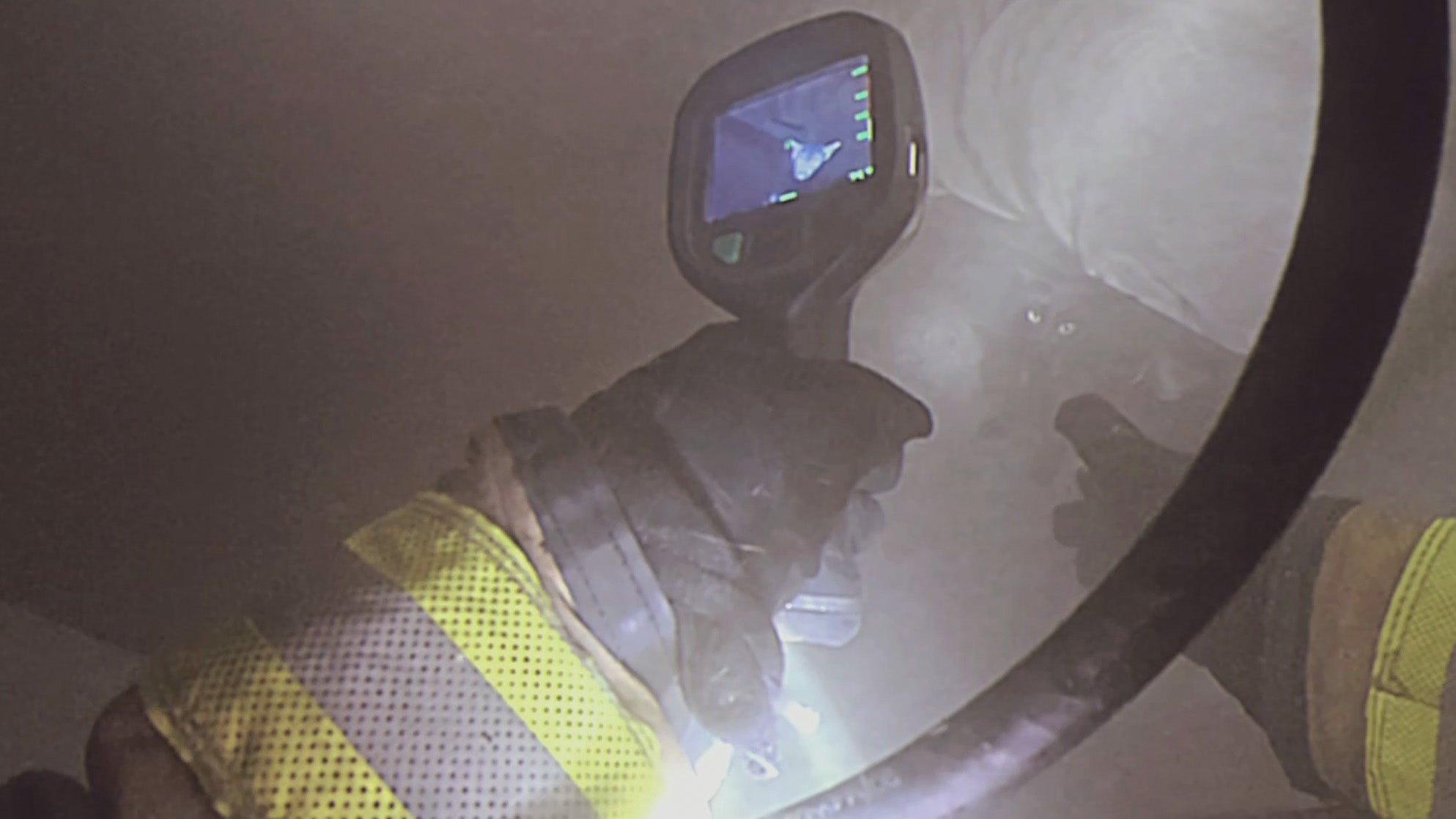 Bodycam Footage Shows Heroic Firefighters Saving Felines From California Apartment Blaze