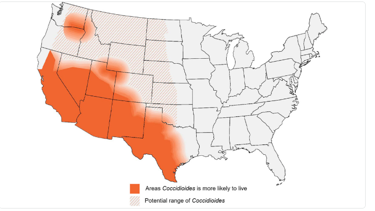 cdc_valley_fever_map.png