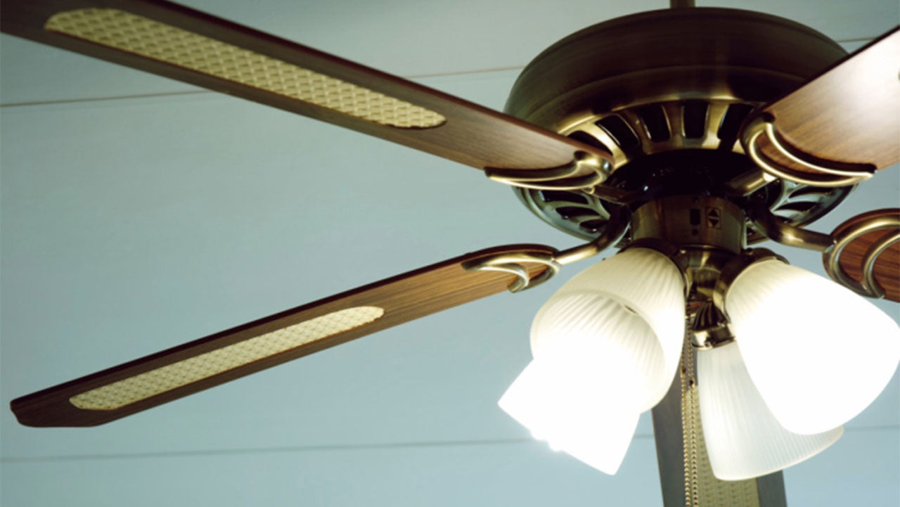 Keep Birds From Nesting On Ceiling Fan Shelly Lighting