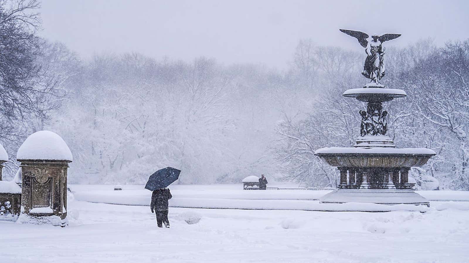 Winter Storm Hernando 'Bombs Out,' Knocks Out Power To 600,000+ In Northeast; 10,000 Flights Canceled | USNN World News snow in Central Park