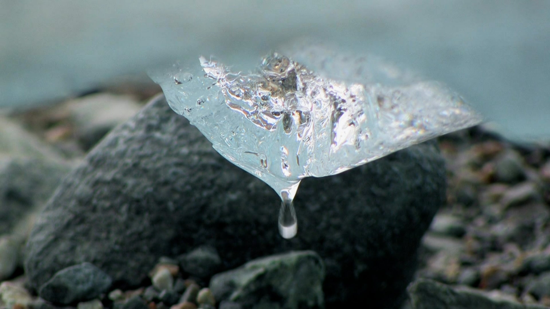 Climate Change Raising The Risk Of Another Pandemic