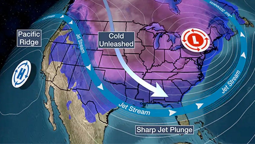 coldoutbreakchristmas2022.jpg