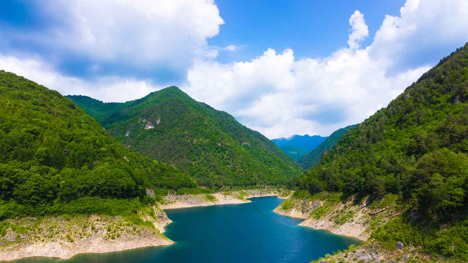 Wann ist ein Wald ein Wald? Forscherstreit könnte dramatische Auswirkungen haben The Weather Wann ist ein Wald ein Wald? Forscherstreit könnte dramatische Auswirkungen haben The Weather
