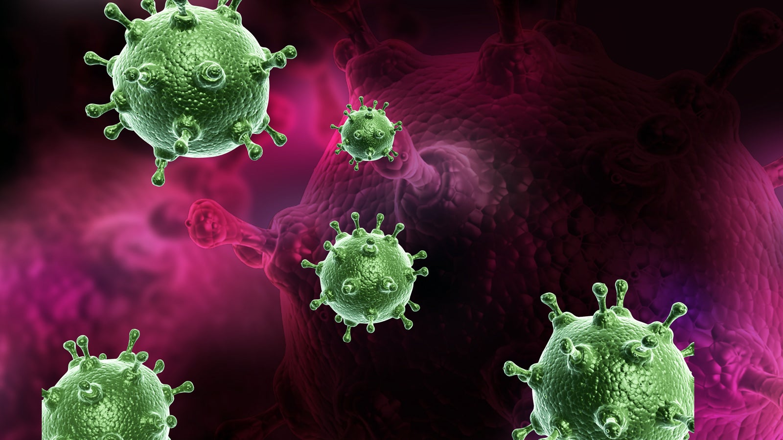 Bisher fast 1000 GrippeTote Ansteckungszahlen gehen langsam zurück