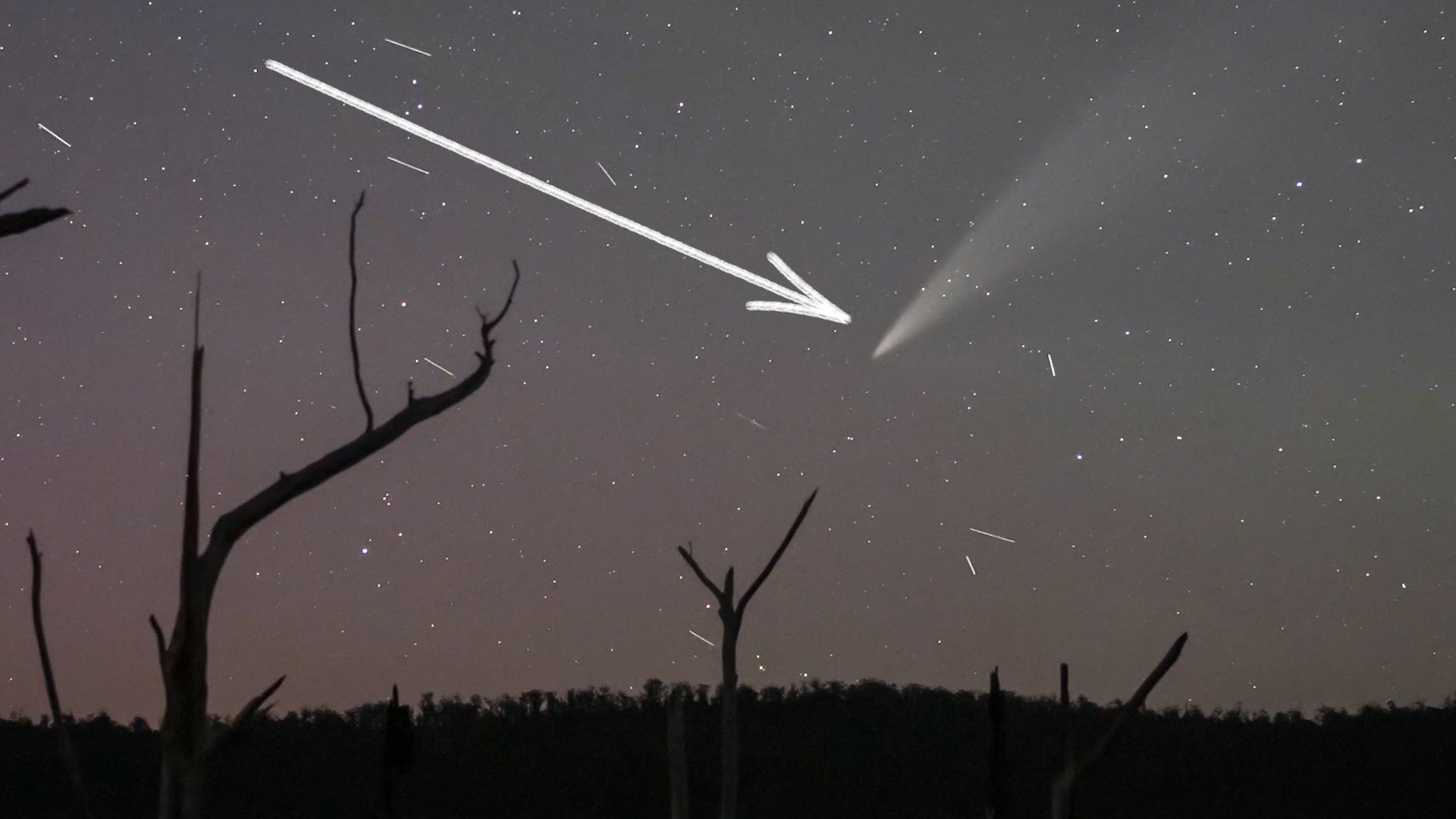 This Comet Won&rsquo;t Be Seen Again For Thousands Of Years