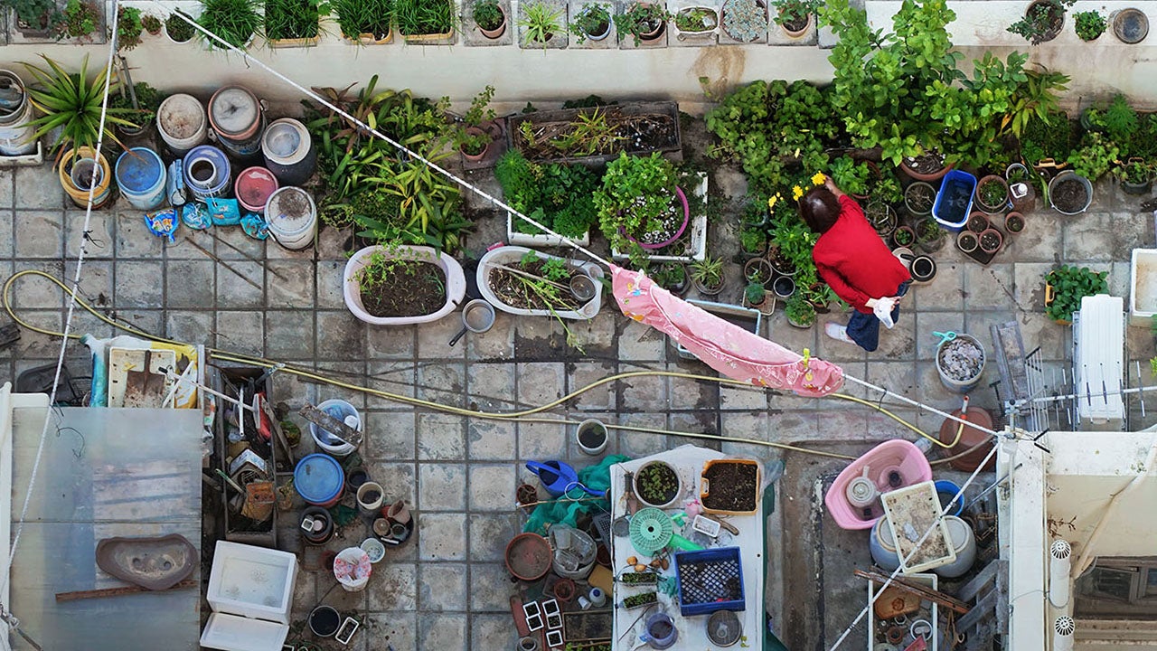 Looking Down on Hong Kong's Rooftops (PHOTOS)