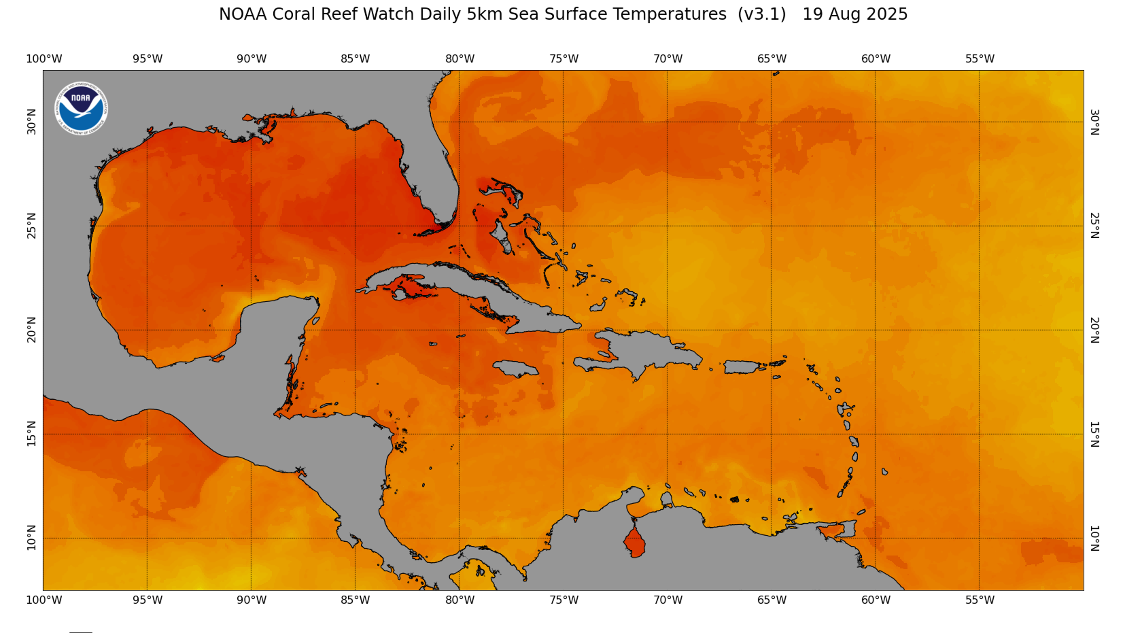 coraltemp_v3.1_caribbean_current.png