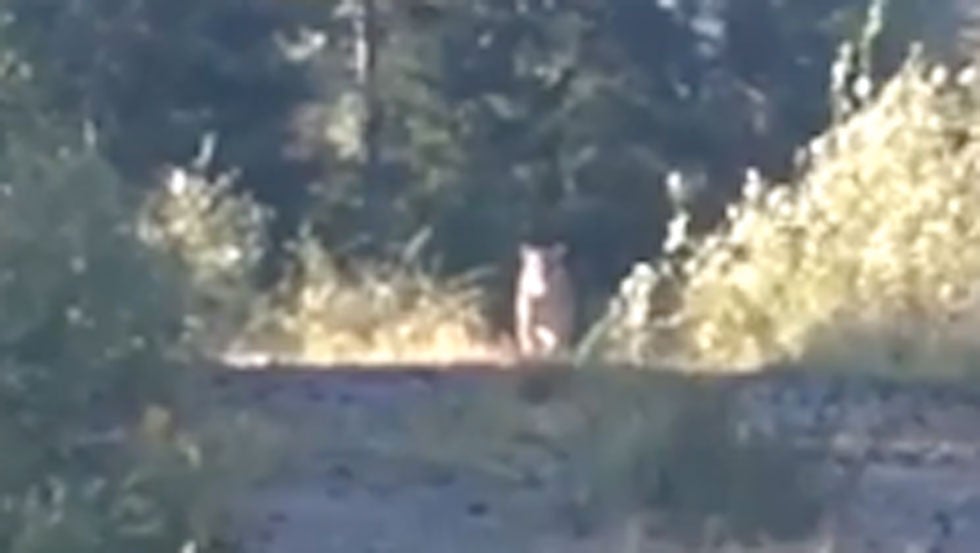 Hourly Weather Forecast for McKenney, VA The Weather Channel