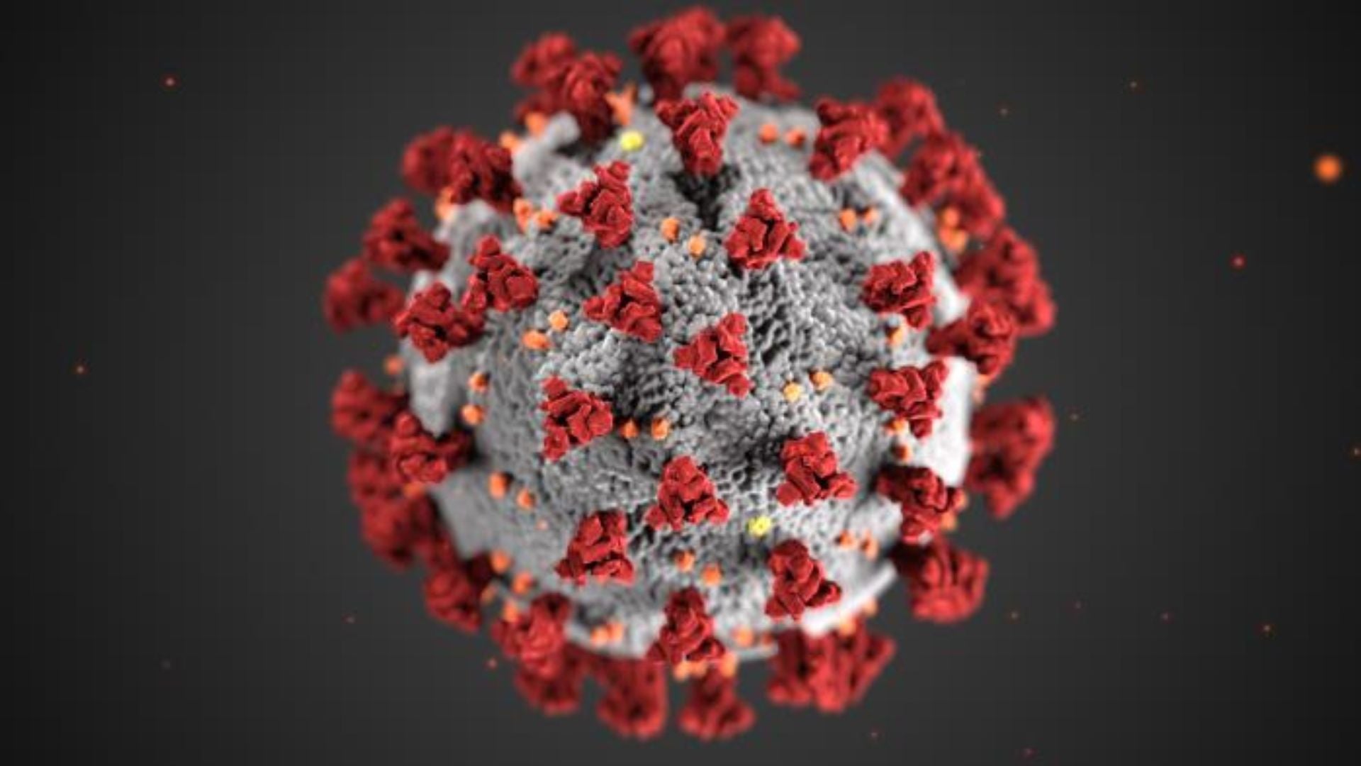 4 Things You Should Know About The CDC&rsquo;s New COVID-19 Guidelines
