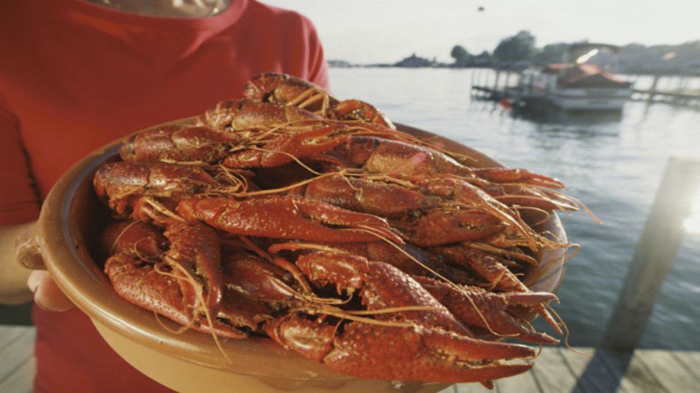 Crayfish Recipes
