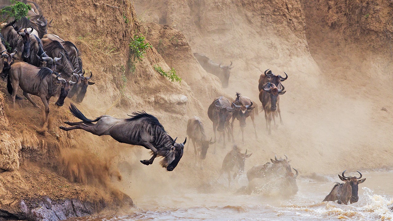 PHOTOS: Finalists from the 2015 Smithsonian Photo Contest