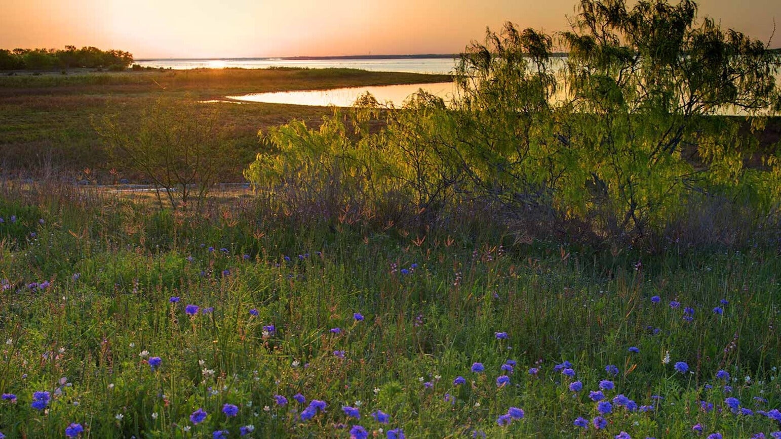 Weather Words: Golden Hour