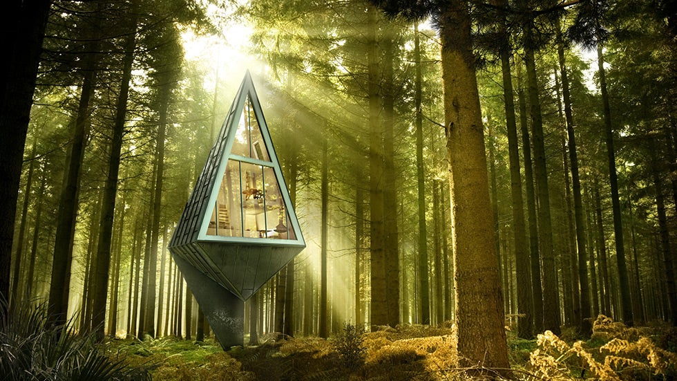 Konrad Wojcik's Primeval Symbiosis Homes Are Shaped Like Trees and Work Like Trees (PHOTOS)