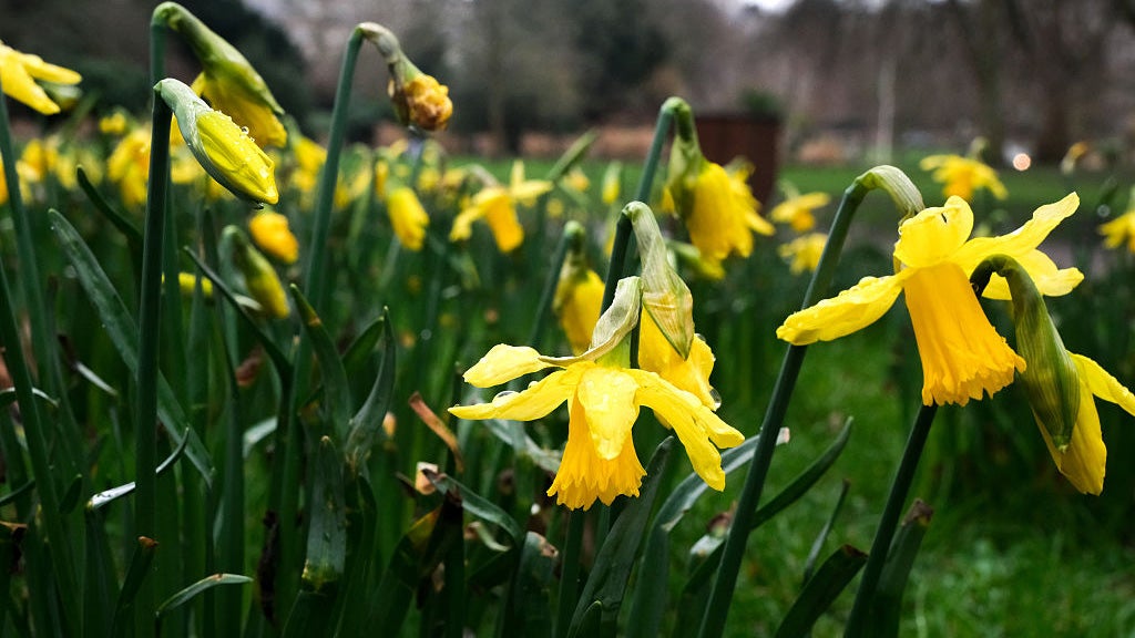 Weather Whiz: February 15
