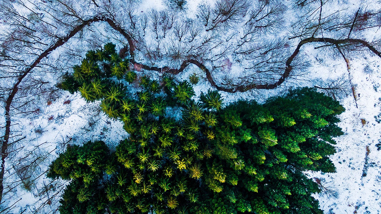 Danish Photographer Takes Work to New Heights with Drone (PHOTOS)
