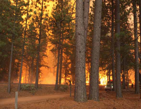 Wildfire WeatherReady Tips - AR
