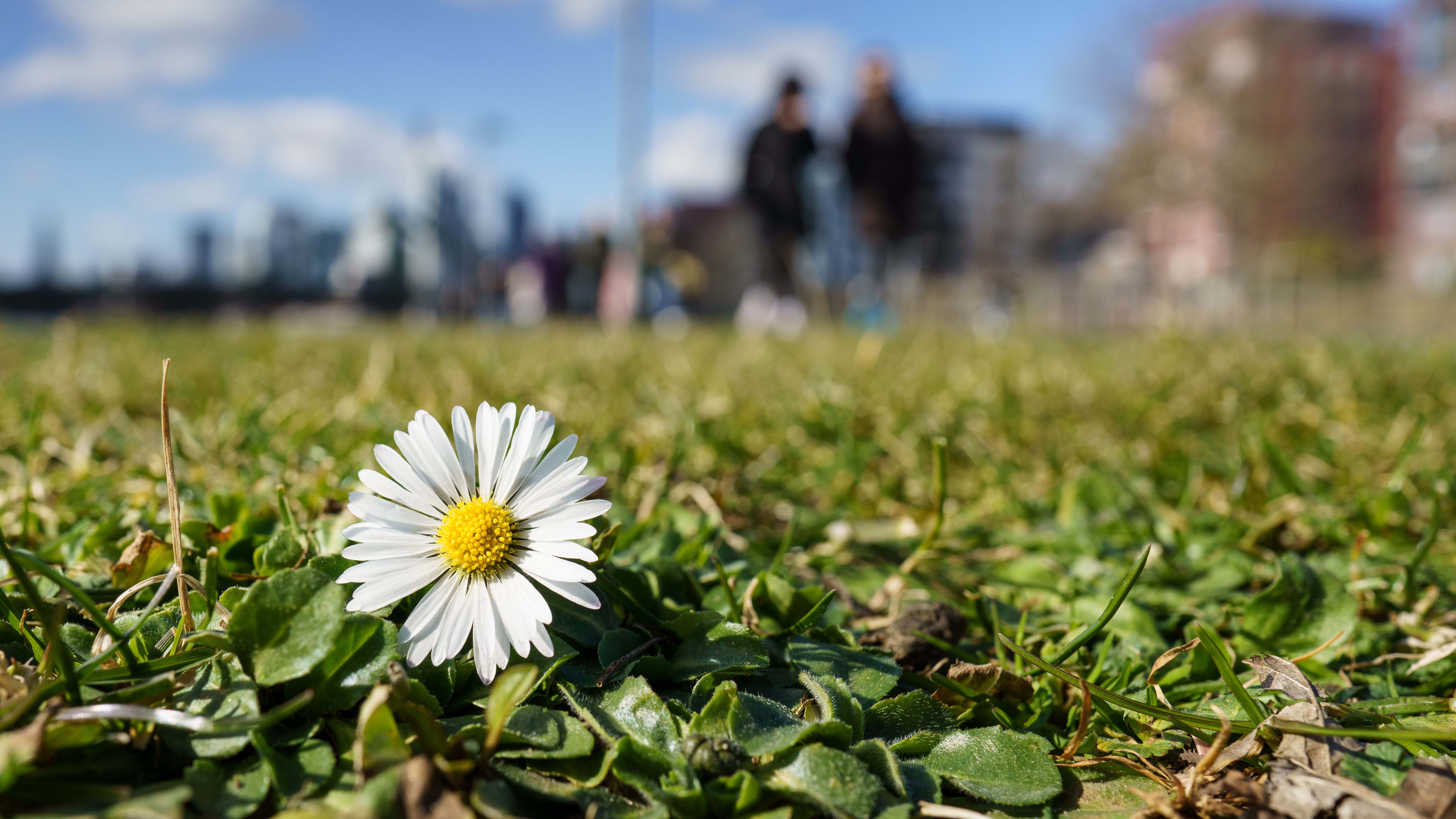 Der große Wochenausblick Hochdruckwetter mit Sonnenschein und Nebel