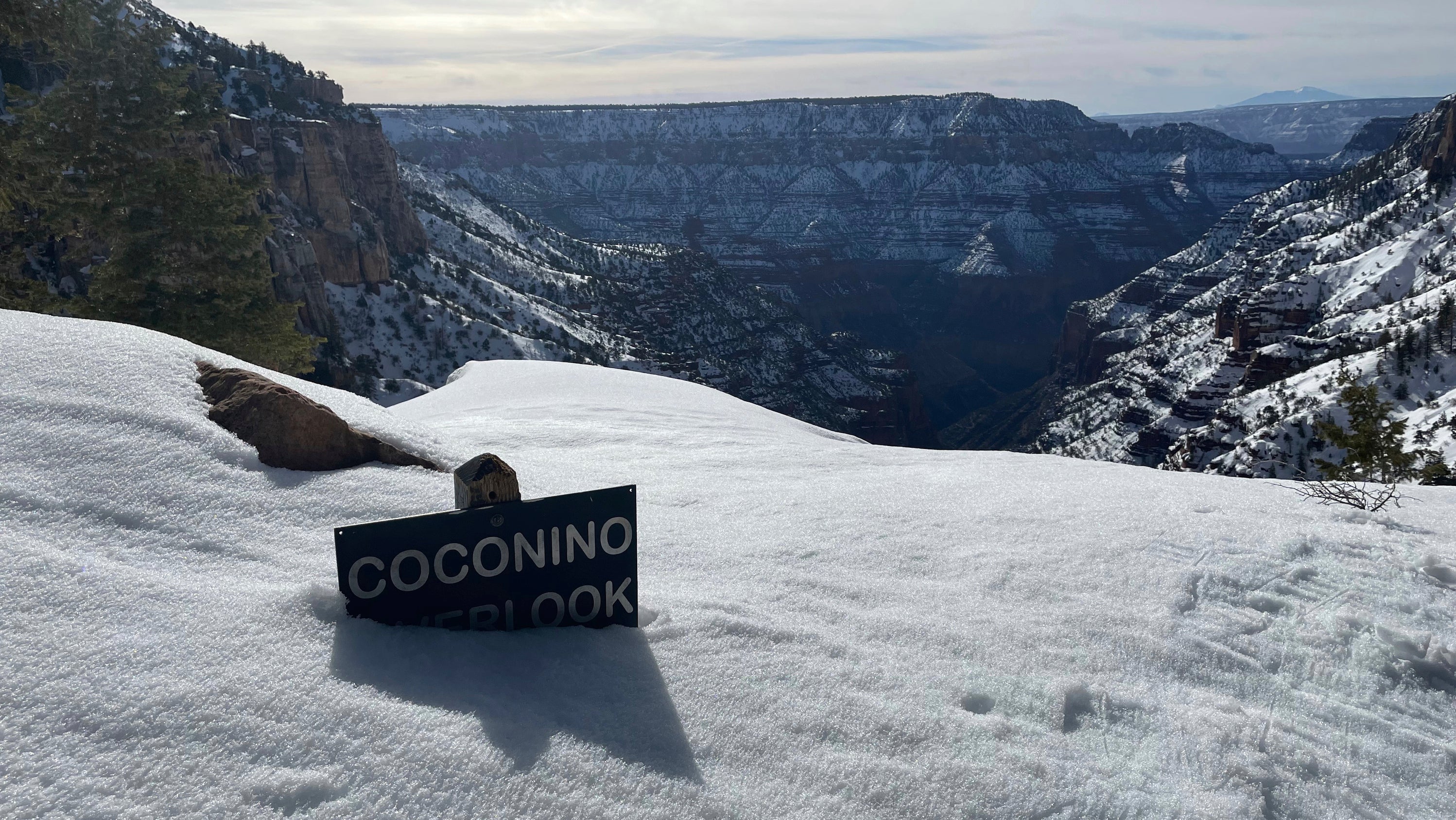 Weather Forecast Grand Canyon Az - 20vbily