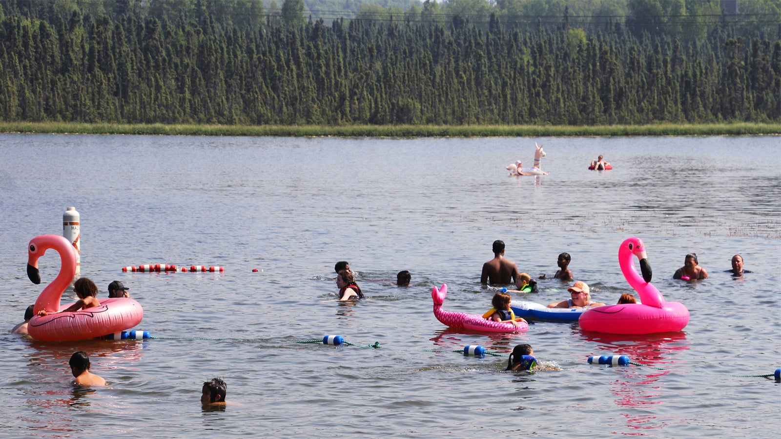 Hitzewelle in Alaska knackt Temperaturrekorde im USNorden
