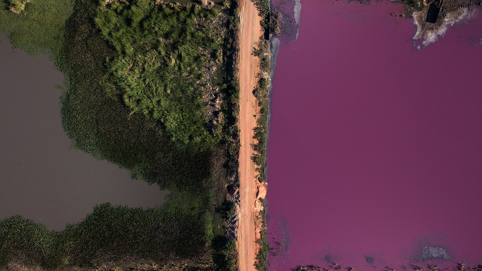 https weather com de de haus und garten video bei hitze welche fehler man beim blumengiessen vermeiden soll https s w x co de garten blumen giessen gettyimages 172805398 jpg bei hitze welche fehler man beim blumengiessen vermeiden soll