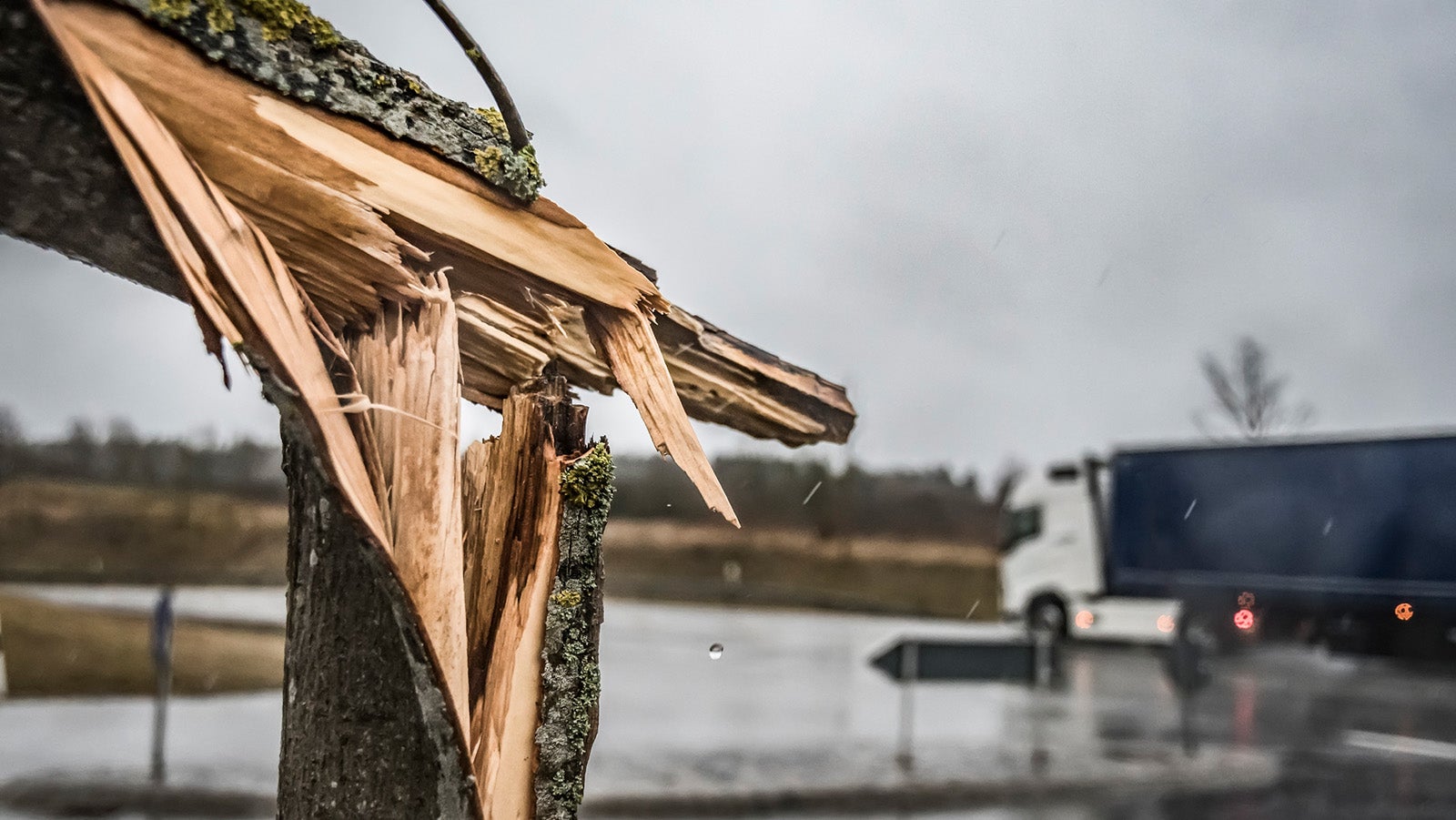 Orkan Sabine im Anmarsch Erste Schulen in NRW bleiben geschlossen