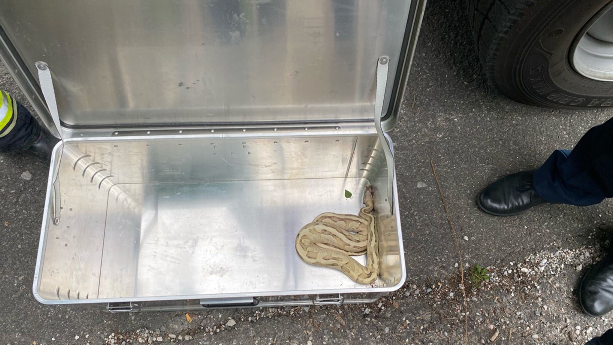 Python auf briefkasten entdeckt weather
