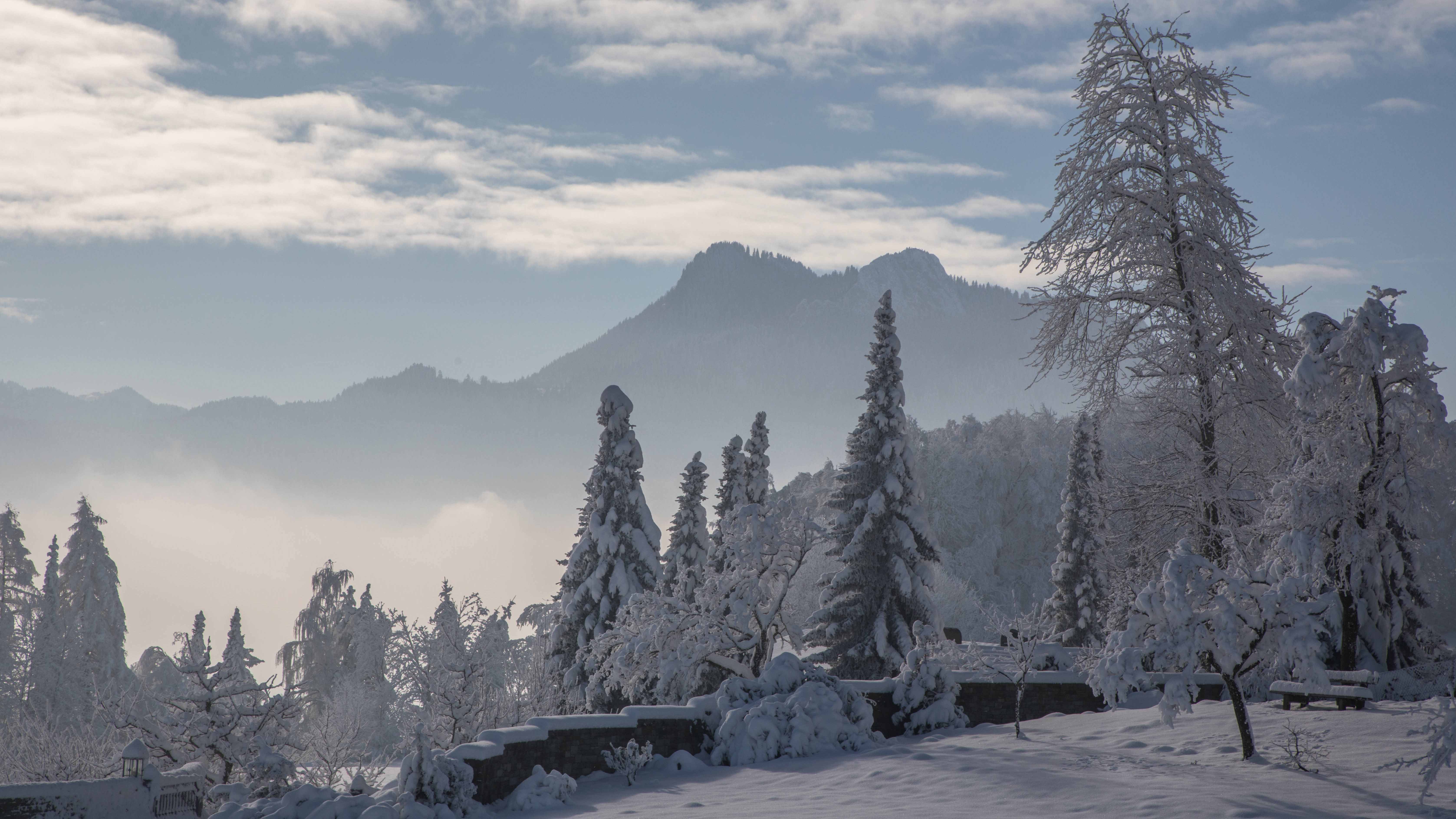 Der große Wochenausblick Wilder Mix aus Frost, Schnee, Regen, Glätte