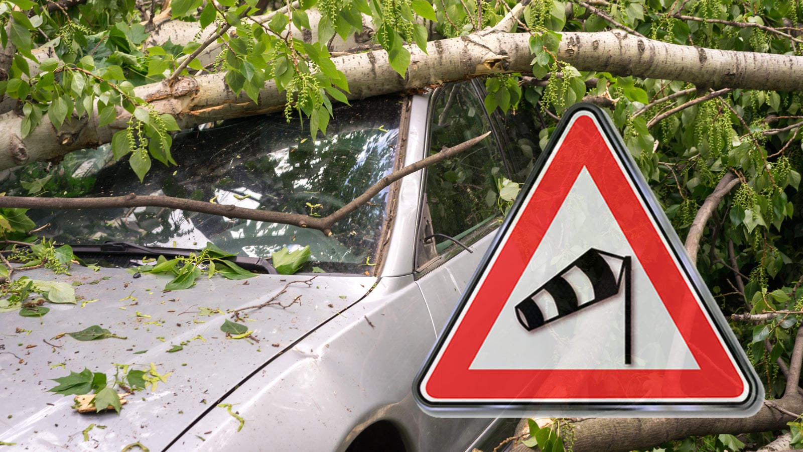 Sturm fegt mit 27 Metern pro Sekunde über Baltikum: Zehntausende ohne Strom