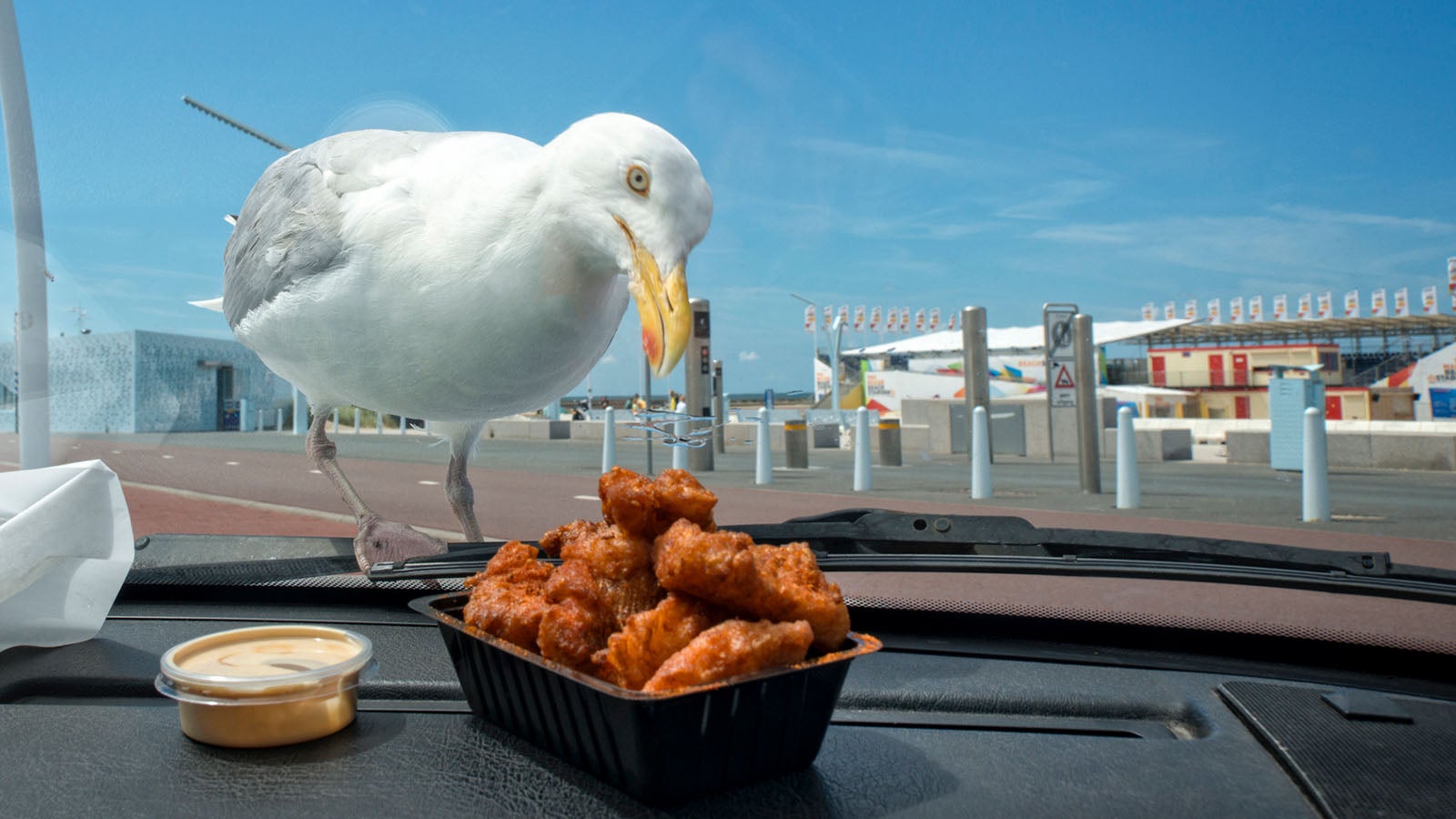 Norddeutsche Mafia T-Shirt - Lustiges Design Mit Möwen, Pommes & Bier