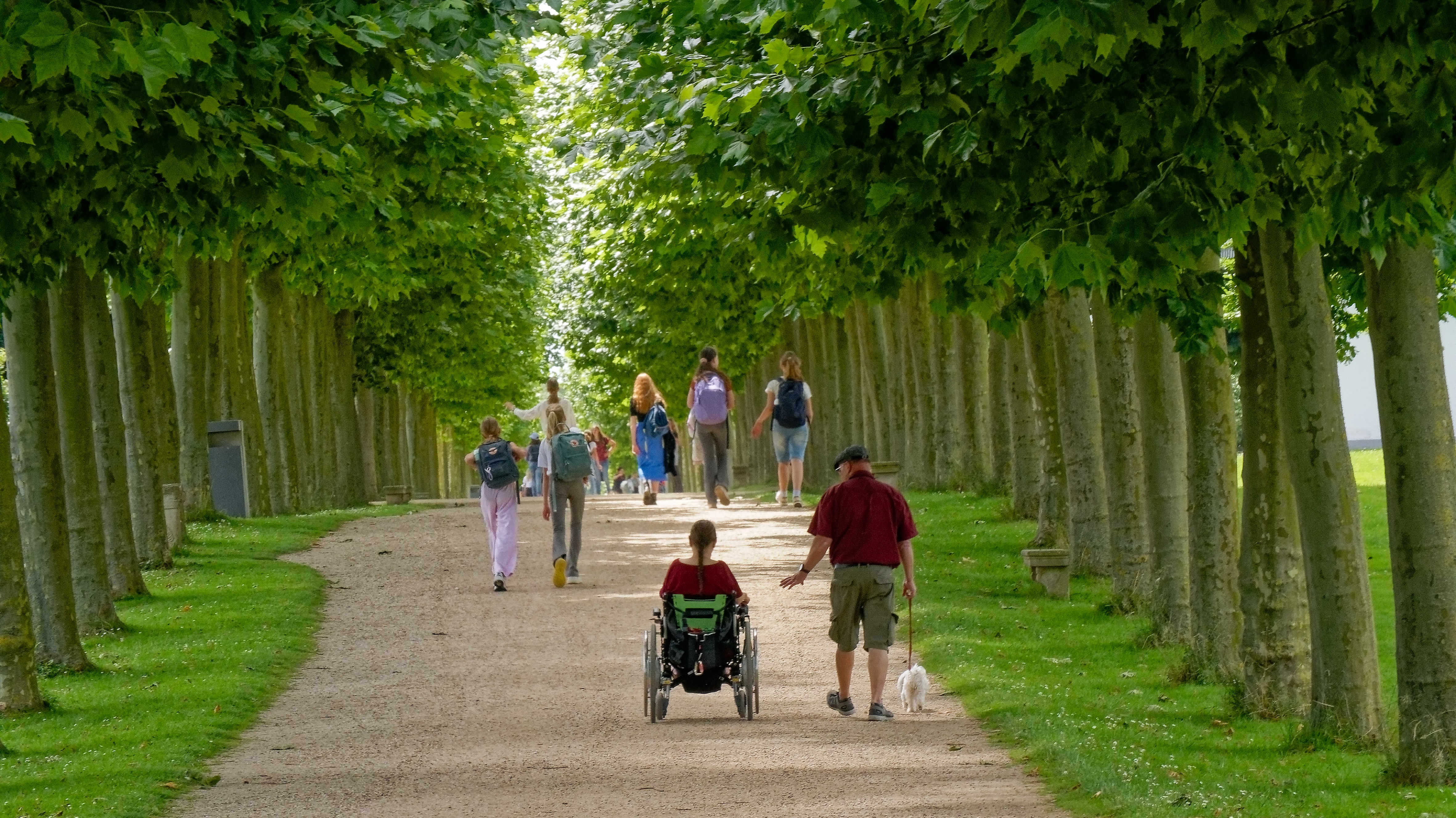 Das ist die Allee des Jahres 2024