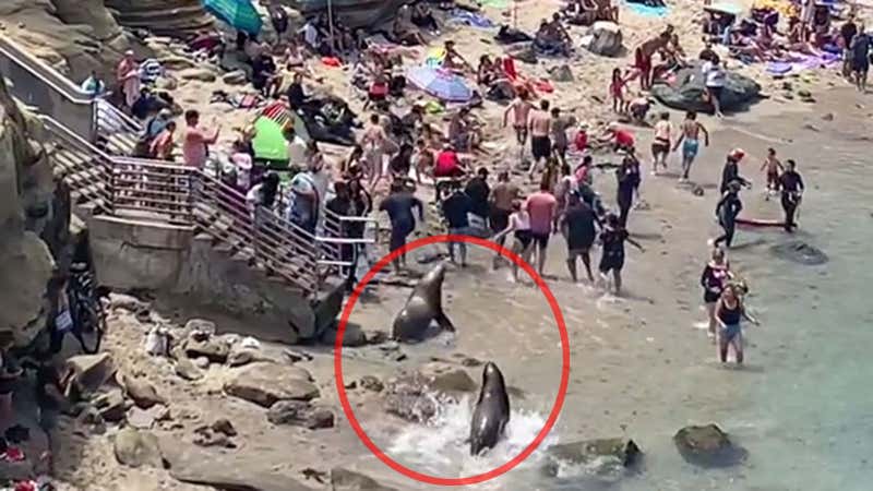 Nationaler und lokaler Wetterradar, tägliche Vorhersage, Orkane und