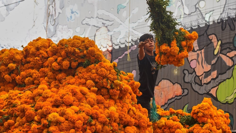 Can Mexico's "Flower Of The Dead" Survive Climate Change?