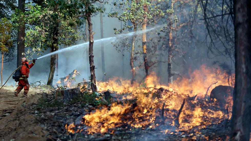 California King Fire Update: Firefighters Hold Their Ground Despite Gusty Winds