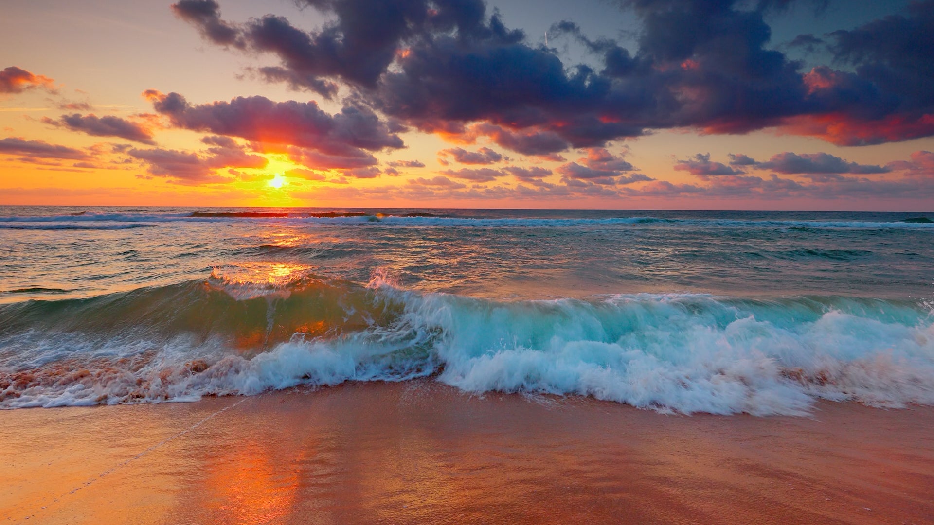 Labor Day Let The Dogs Out