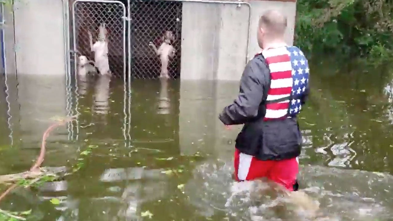 North Carolina Woman Saves 18 'Soaked and Shaking' Dogs