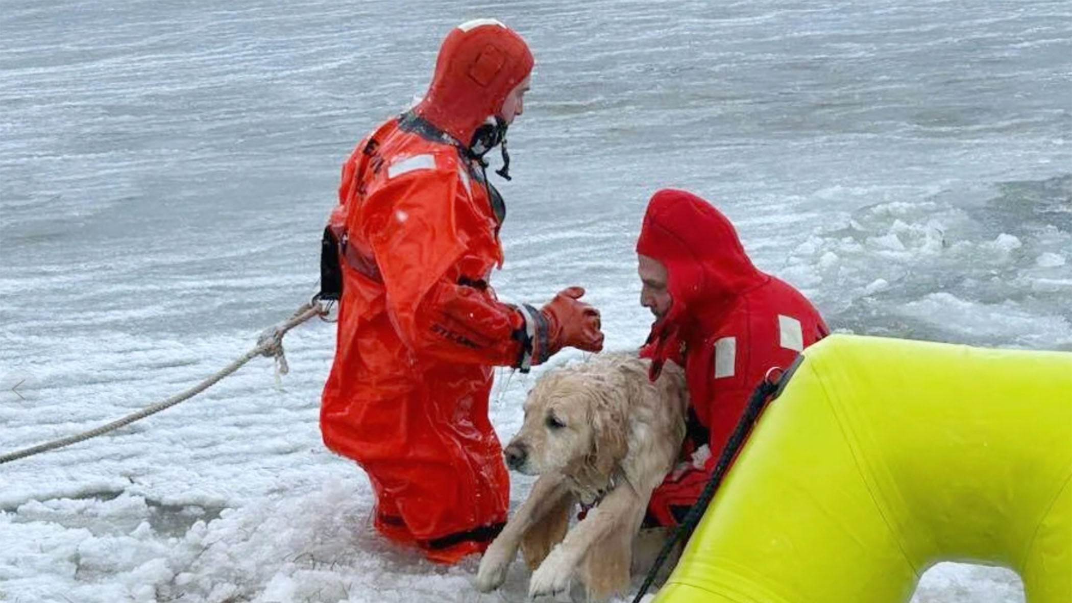 dog rescued from frozen pond
